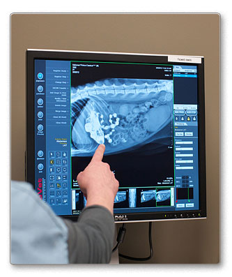 Digital Radiology