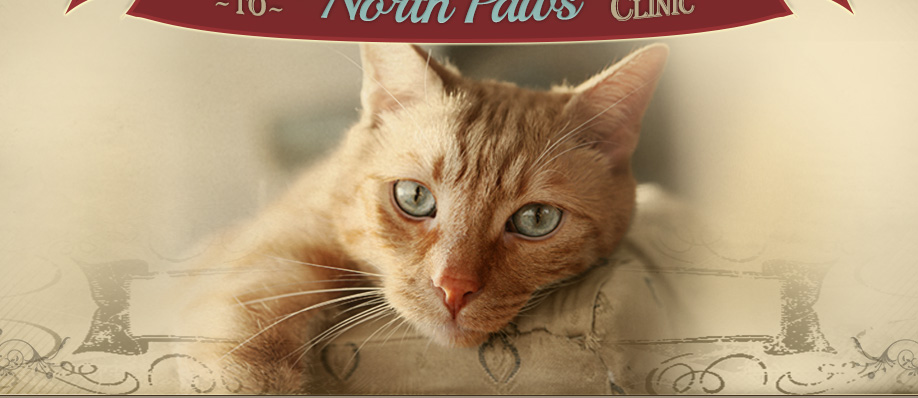 North Paws Veterinary Clinic
