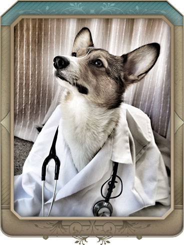 Emergency Veterinary Care in Maple Grove