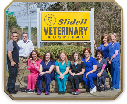 slidell, northshore veterinary hospital