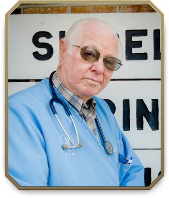 Slidell Veterinarian