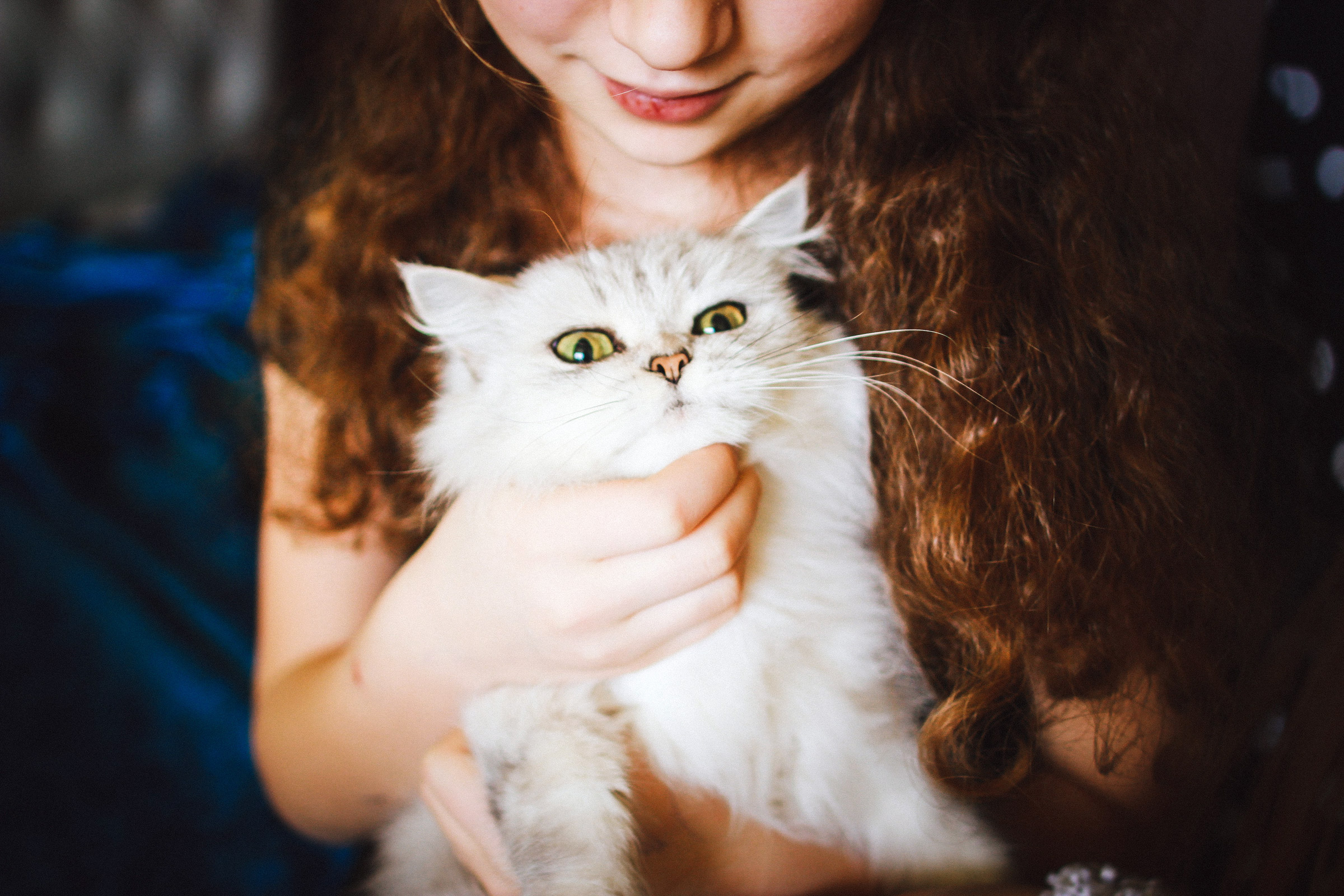 Girl playing with senior cat