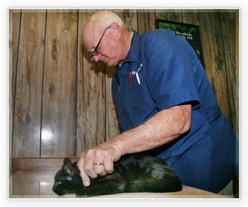 veterinarian in wright city mo