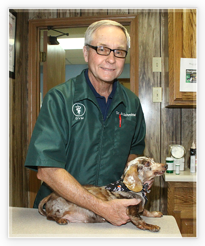 Jim Schmittel, DVM veterinarian in wright city mo