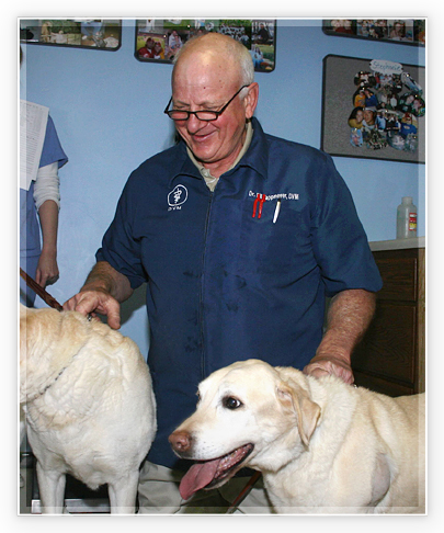 Wright City & Warrenton Veterinary Clinics | Veterinarian in Wright City,  MO | Veterinarian in Warrenton, MO | Veterinarians in Wright City and  Warrenton, MO