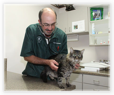 veterinarian in warrenton mo